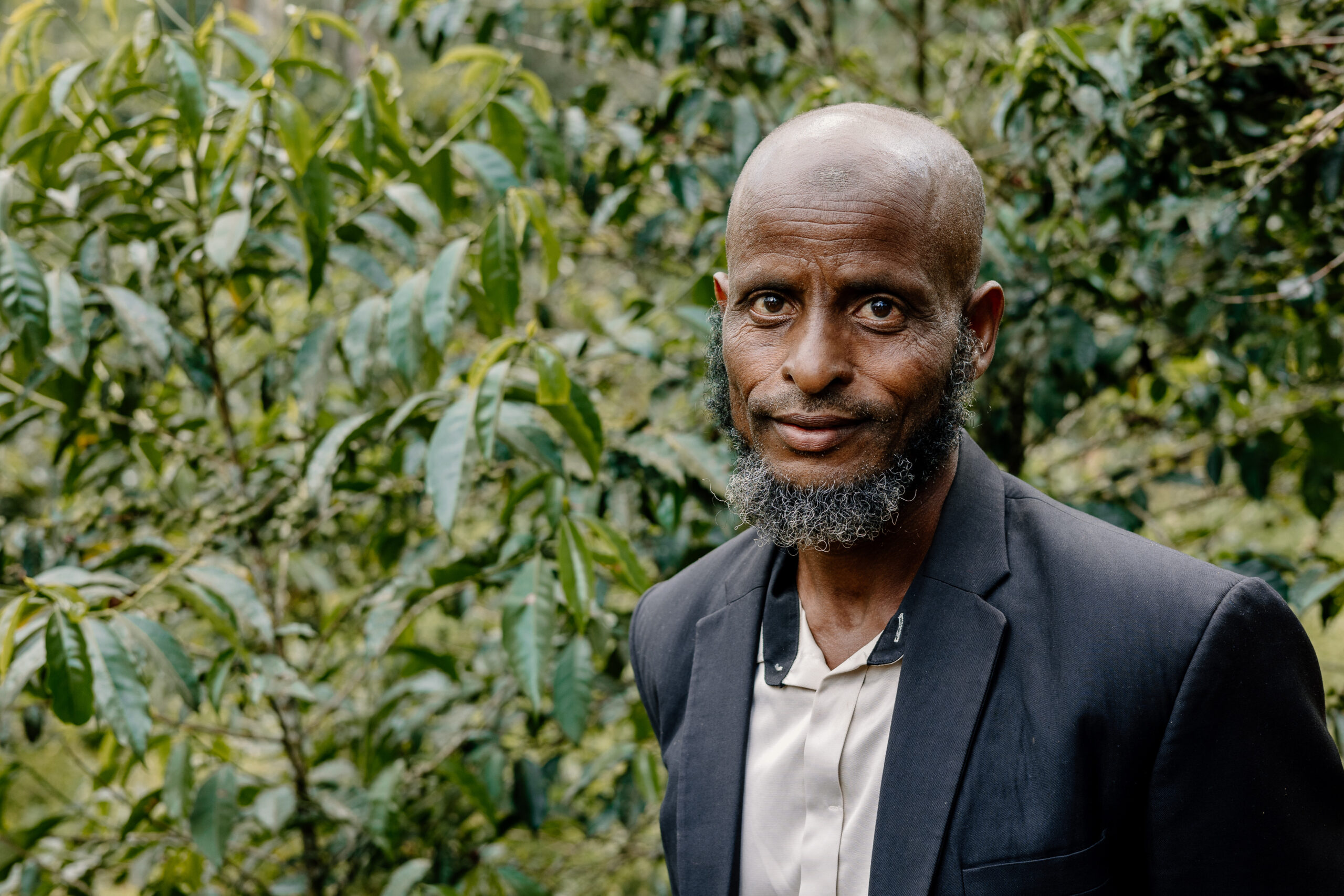 Aba Nura - Image 3