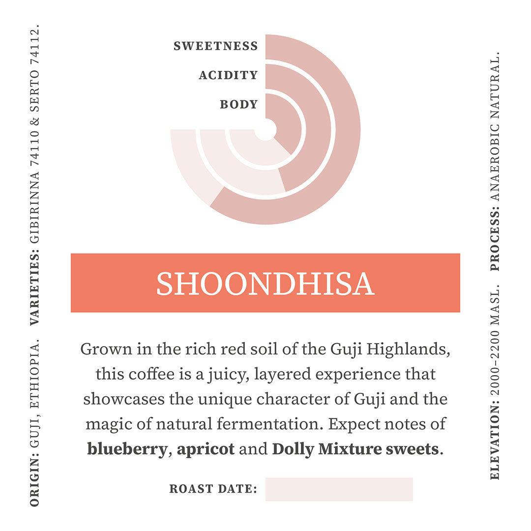 Shoondhisa - Image 2