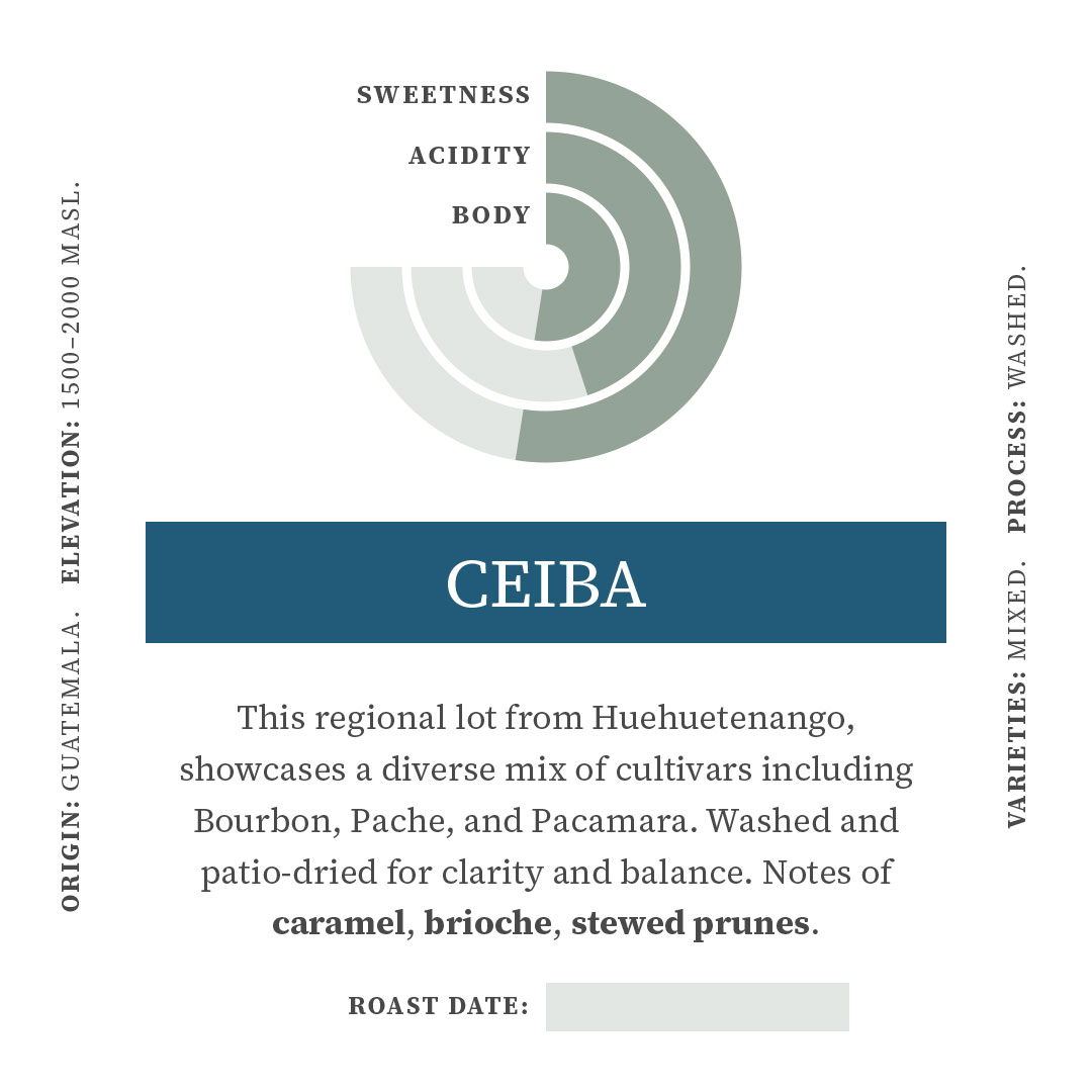 Ceiba - Image 2
