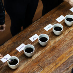 discover the world in a cup at doe and fawn