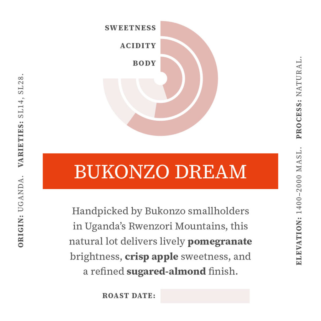 Bukonzo Dream - Image 2