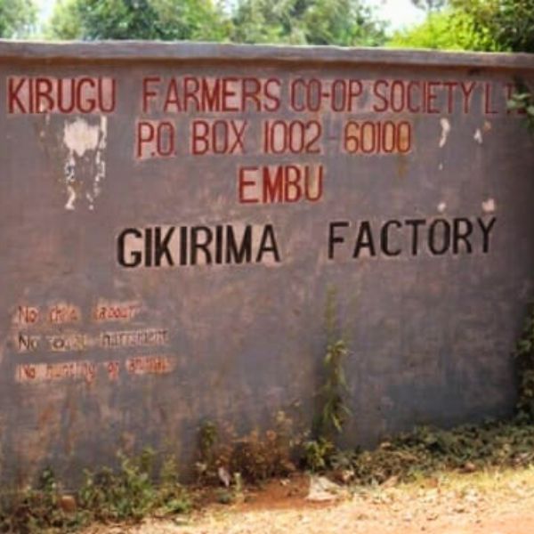 Gikirima AB - Image 4