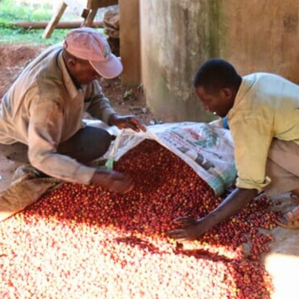 Gikirima AB - Image 3