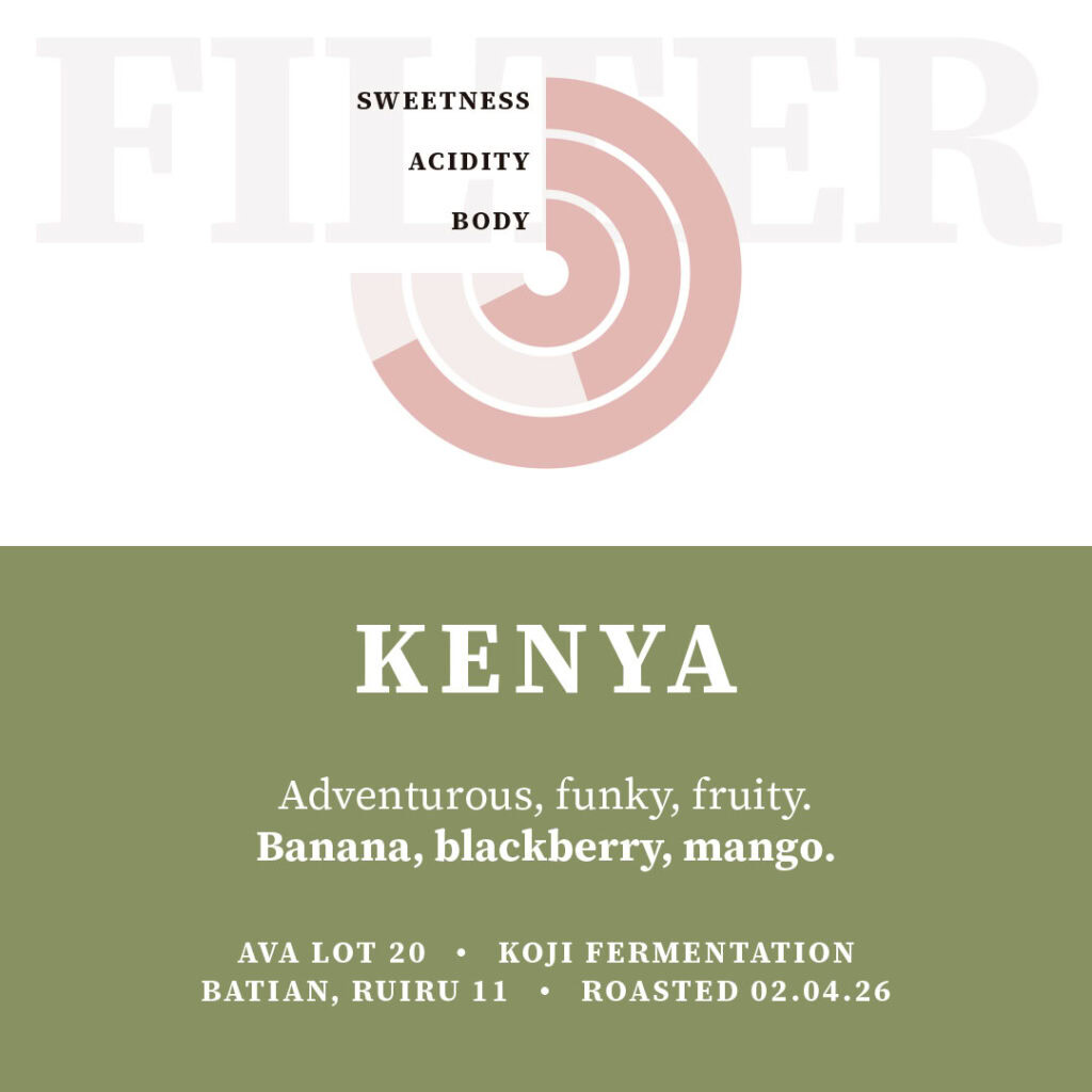 Ava-Lot 20 - Image 2